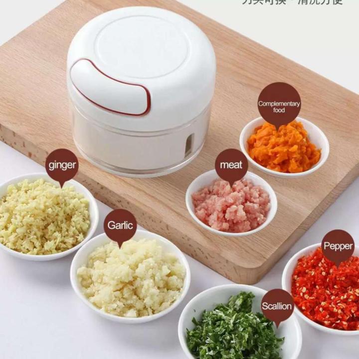 Mini Vegetable Chopper