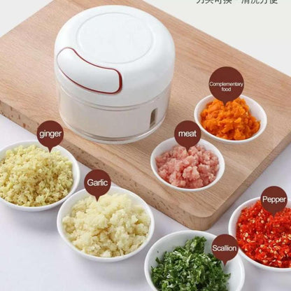 Mini Vegetable Chopper